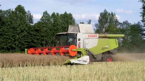 Moisson Colza 2022 Claas Lexikon 650 Avec Sa Coupe Vario 770 YouTube