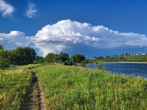 Fish Creek Provincial Park Calgary What To Expect Timings Tips