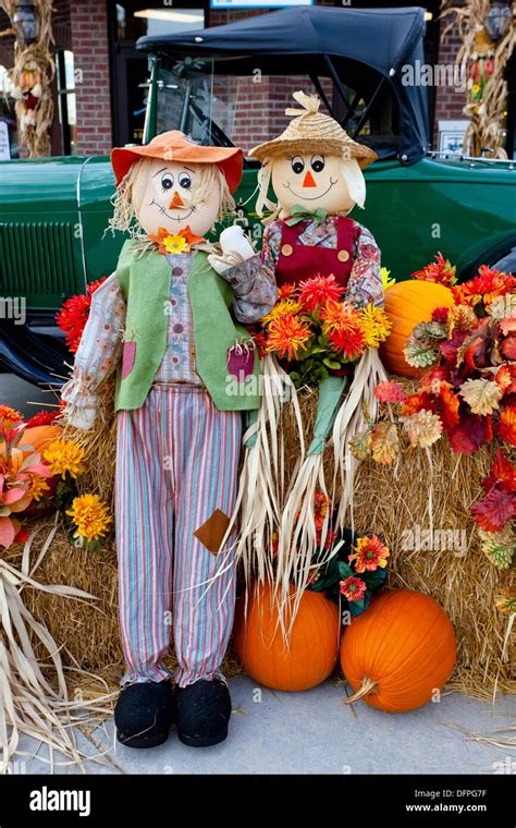 Autumn Fall Display Scarecrow Pumpkin Stock Photos And Autumn Fall