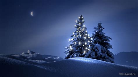 Christmas Tree With Snow On It Wallpapers Wallpaper Cave