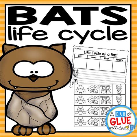 Bat Life Cycle – Dollar Teachers Club