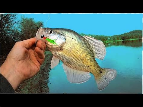 Crappie Fishing With JIGS Winter Jig With Bobber YouTube