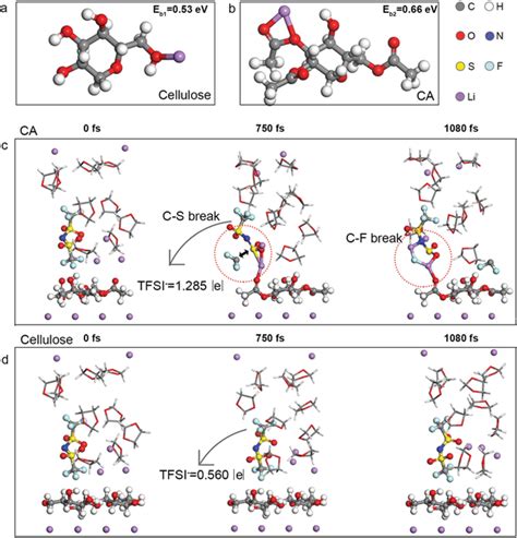 Binding Energy And Geometrical Configuration Of Li Atom With Different