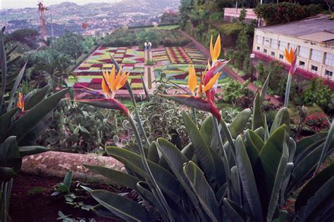 Madeira La Gomera Seite Weltenquerung