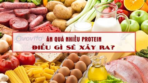 Protein chất đạm là gì vai trò của protein đối với cơ thể