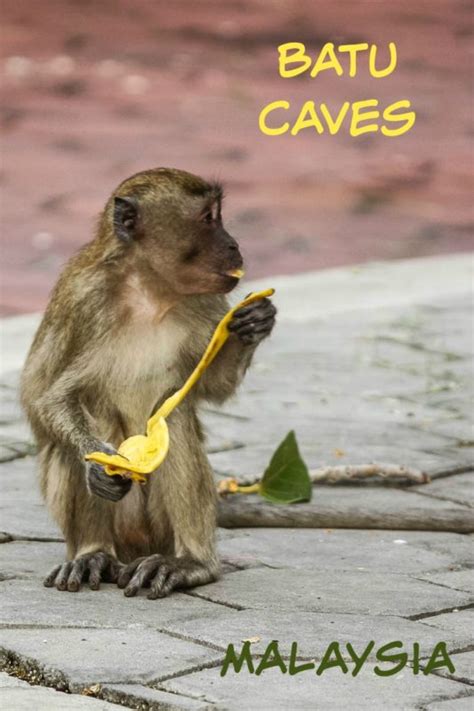 Fascinating Batu Caves: Monkeys, Statues, and Hindu Shrines