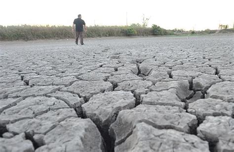 Declaran Estado De Emergencia Agropecuaria En Córdoba Por La Sequía