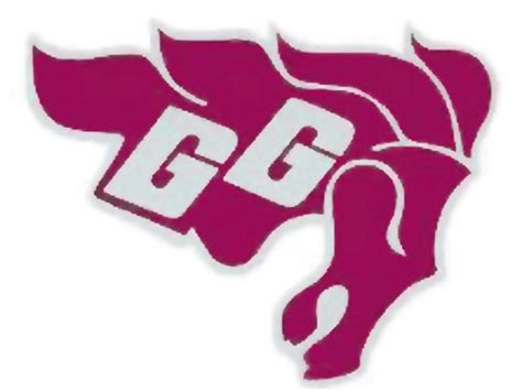 Ottawa Gee Gees Football Team Now 4 1 After Win Over Windsor Ottawa