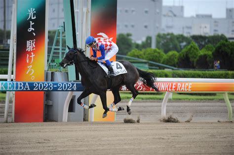 東京シティ競馬tck On Twitter 4レース新馬戦を制したのは、リッキーフェイス 終始先頭譲らず、直線は後続を突き離し