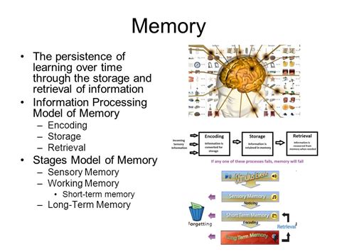 Memory Encoding Storage Retrieval