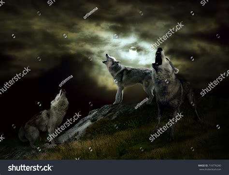 446 Wolf pack night Images, Stock Photos & Vectors | Shutterstock