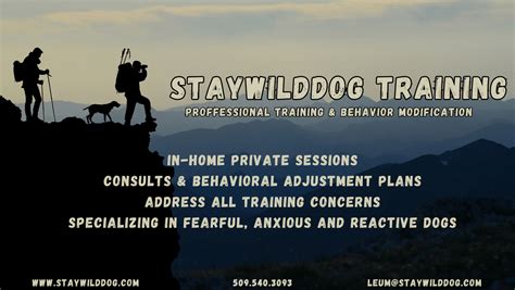 Effective Dog Training with Positive Reinforcement | Reward-Based Dog Training | Gentle and ...
