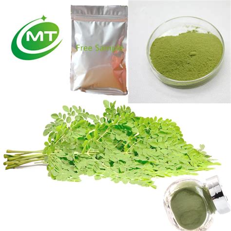 Organic Moringa Leaves Powder Moringa Oleifera Leaf Powder Moringa