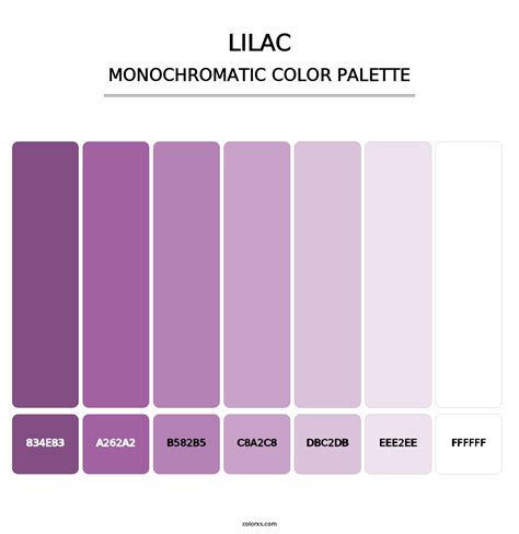 Lilac Color Palettes