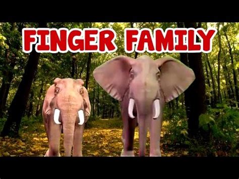 Animals Finger Family Cartoon Nursery Rhymes for Children | Super Hero ...