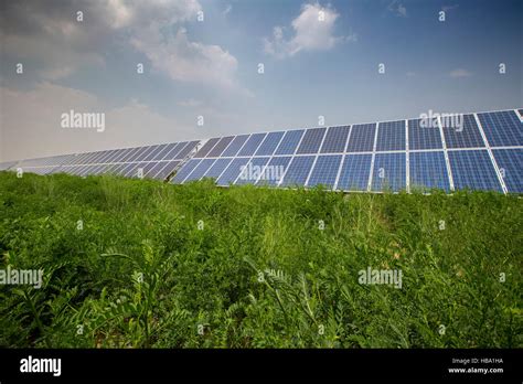 Solar Panels Under Blue Sky Stock Photo Alamy