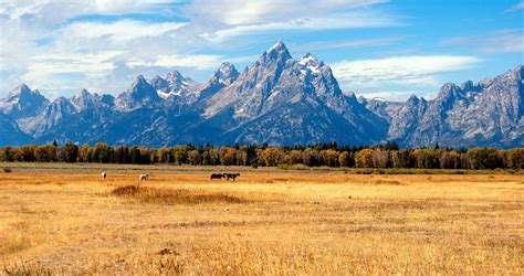 Best Things To Do In Grand Teton National Park Scenic States