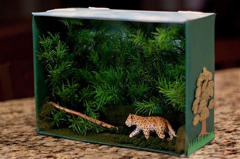 Forest Habitat Project For Kids With Shoebox