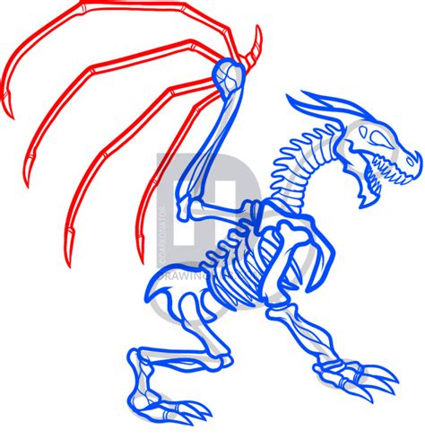 Dragon Skeleton Drawing at PaintingValley.com | Explore collection of Dragon Skeleton Drawing