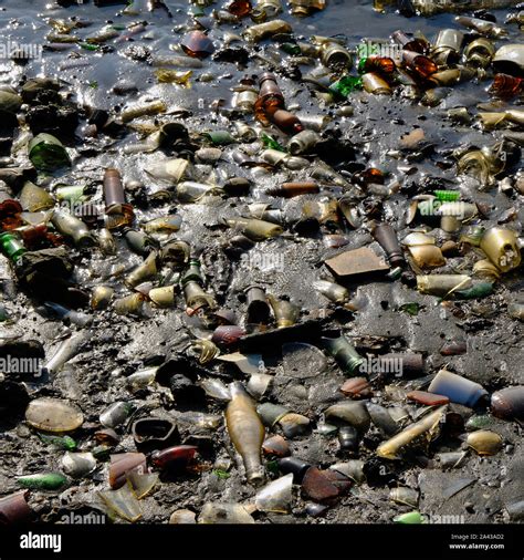 Washed Up Bottles At The Beach At Dead Horse Bay Glass Bottle Beach