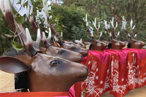 八つ鹿踊り宇和津彦神社秋祭り10月愛媛県宇和島市 大本写真事務所