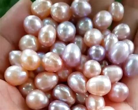 Natural Freshwater Round Pearl 10 11mm Grade 14 Dark Green Surprise