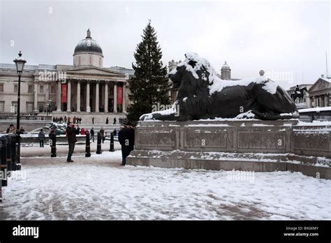 Winter Snowfall Trafalgar Square London Stock Photo Alamy