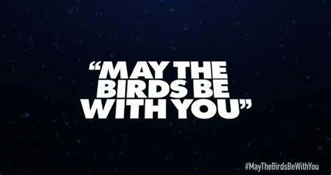 Angry Birds Star Wars 2 Character Reveals Anakin Skywalker Podracer September 19 Videos Metatube