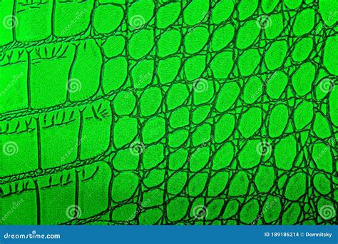 Green Crocodile Skin Texture Background. Alligator Skin Stock Photo ...