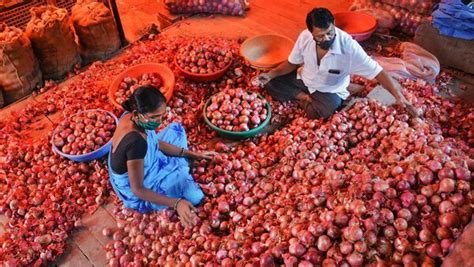 India Lifts Onion Export Ban