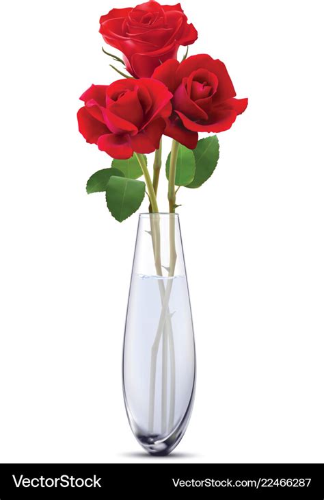 Roses In A Glass Vase Isolated Realistic 3d Vector Image