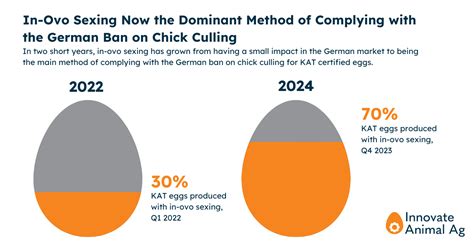 In Ovo Sexing Is Now The Main Method Of Avoiding Chick Culling In