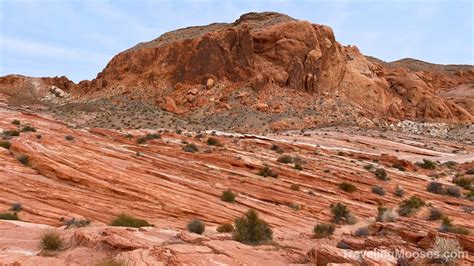 4 Hours In The Valley Of Fire Traveling Mooses