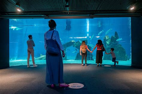 Lunedì 15 febbraio riapre al pubblico l'Acquario di Genova - Telenord.it