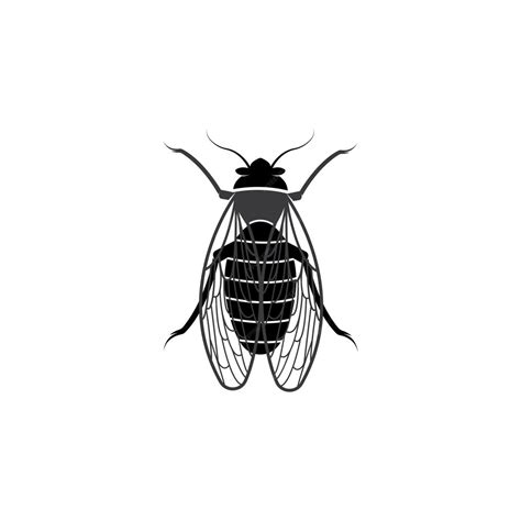 Premium Vector Cicada Logo Vector Template