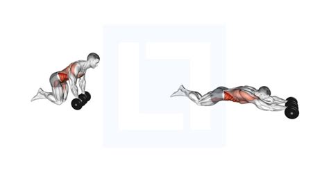 Dumbbell Decline Sit Up Guide Benefits And Form