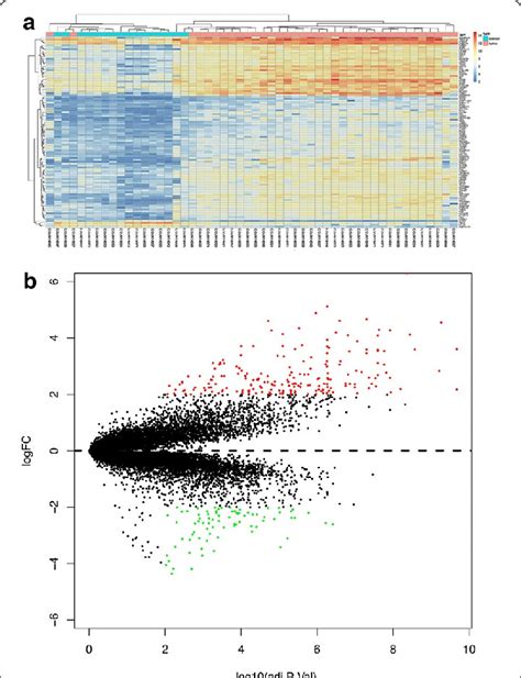 Geo Differential Gene Heat Map And Volcano Plot A Heat Map Of