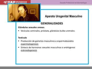 Obstetricia Ppt Yuytuihuiyreetyyyiuooi Oouoi Ppt Descarga Gratuita