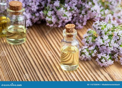 A Transparent Bottle Of Essential Oil With Fresh Blooming Thyme Stock