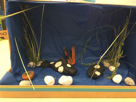 Orca habitat diorama - ocean | Animal projects, Habitats, Diorama