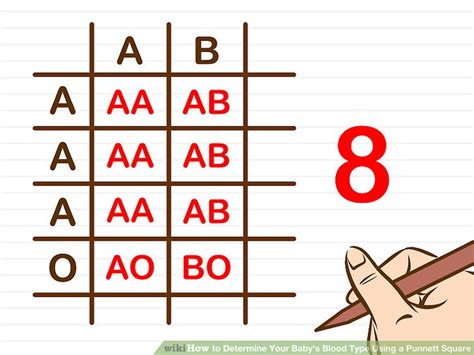 How to Determine Your Baby's Blood Type Using a Punnett Square