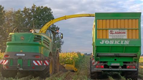 Oporowa Akcja Kukurydza i Sorgo na Kiszonkę dwie sieczkarnie w akcji