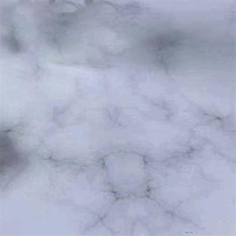 Wrought Studio Callazo Peel Stick Marble Wallpaper Wayfair Canada