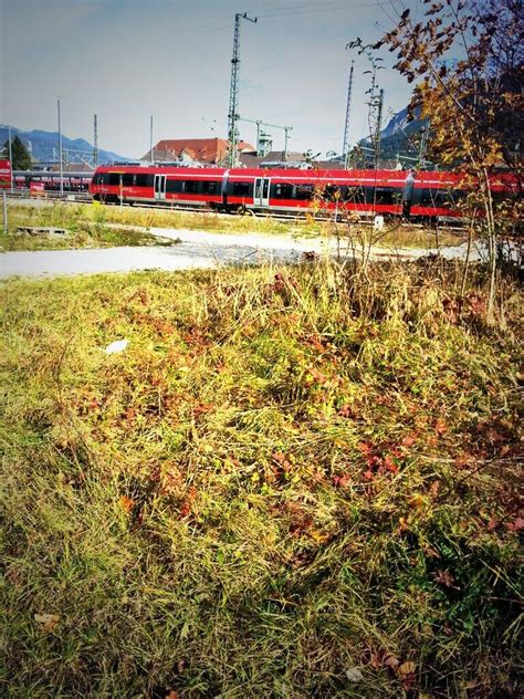 Philipp Von Soden On Twitter Yard Scouting Paintedtrains Graffiti