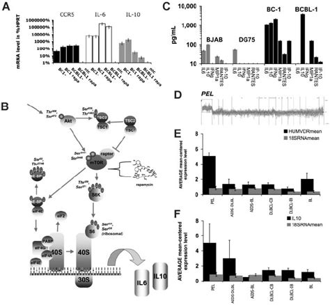 Cytokine Mrna Levels Predict Pel Class Membership A Relative Mrna