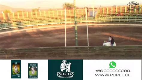 Serie De Campeones Rodeo Club San Felipe Youtube