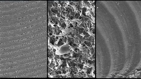 Fractography In Plastics Failures