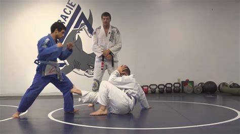 Gracie Jiu Jitsu Martial Arts Demonstration 2 Standing Up In Base