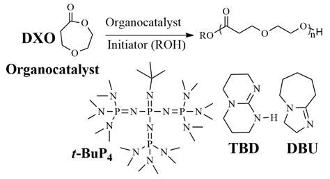 Polymers Free Full Text Studying The Ring Opening Polymerization Of