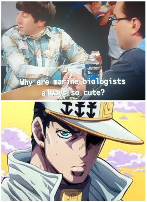 Por Qué El Biólogo Marino Siempre Es Tan Lindo Jojos Bizarre Adventure Jotaro Got Memes